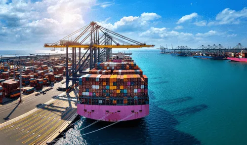 Los principales importadores son Estados Unidos, China y Japón, que valorizan su bajo costo y beneficios nutricionales. Foto: Freepik Los principales importadores son Estados Unidos, China y Japón, que valorizan su bajo costo y beneficios nutricionales.