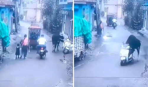 Suceso fue grabado por una cámara de seguridad en la India. Foto: captura de TikTok/@elespanolcom