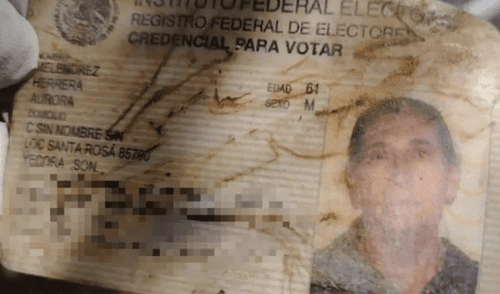 El colectivo ha realizado importantes hallazgos y visibiliza la dura realidad de muchas familias que enfrentan la indiferencia institucional en su búsqueda. Foto: MBS/Facebook El colectivo ha realizado importantes hallazgos y visibiliza la dura realidad de muchas familias que enfrentan la indiferencia institucional en su búsqueda.