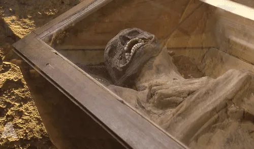 Los investigadores descubrieron que el hombre murió de tuberculosis y fue conservado de una forma muy inusual con telas y ramas que fueron introducidas en su abdomen. Foto: ORF ON Los investigadores descubrieron que el hombre murió de tuberculosis y fue conservado de una forma muy inusual con telas y ramas que fueron introducidas en su abdomen.