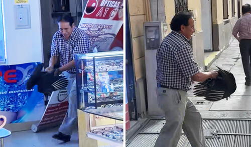 Trabajador peruana tomó rápida solución. Foto: composición LR/ TikTok Gallinazo entra a óptica en el Centro de Lima y reacción del dueño sorprende: “Quería visión de águila”