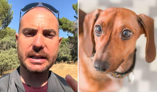 Se recomienda ejercicio físico y mental diario para reducir el exceso de energía acumulada de los perros. Foto: composición LR/ TikTok/ Nuku Adiestrador revela por qué saludar a tu perro al llegar a casa podría ser perjudicial: “Que no te extrañe un infarto”