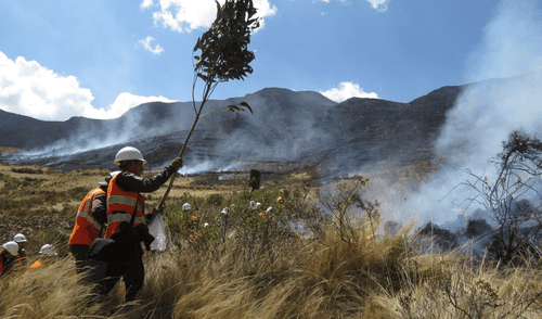 Adulto mayor fallece en incendio forestal. Foto: archivo La República