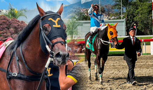 Gaceta Hípica ya publicó sus favoritos para el 5y6 de La Rinconada. Foto: composición LR/INH