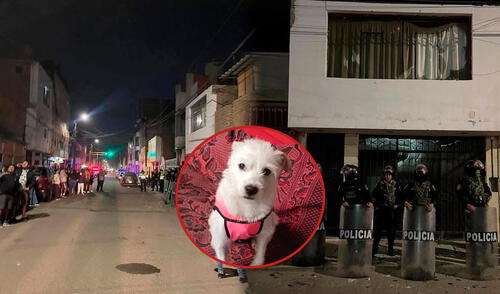 Vecinos se movilizaron hacia la vivienda del agresor, quien ya ha sido identificado, pero continúa con paradero desconocido. Foto: Composición LR