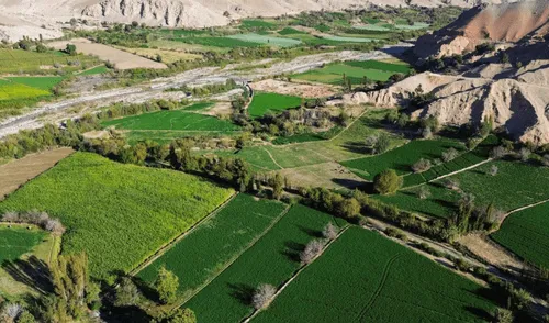 Midagri promueve 22 proyectos de irrigación agrícola en 14 regiones del Perú. Foto: composición LR/Andina Midagri promueve 22 proyectos de irrigación agrícola en 14 regiones del Perú.