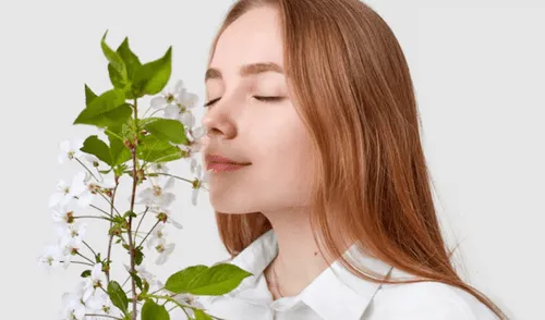 La neurociencia revela la importancia del olfato en la memoria y las emociones, destacando su conexión con el sistema límbico. Foto: FreePik