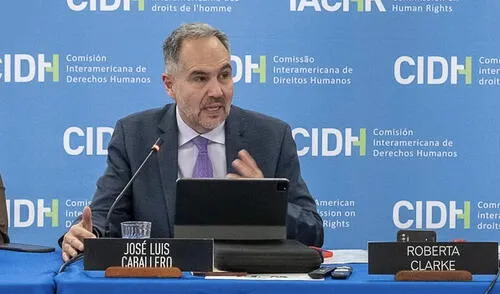 Presidente de la CIDH, José Luis Caballero, señala que la Comisión está evaluando la ley anti-ONG Presidente de la CIDH, José Luis Caballero, señala que la Comisión está evaluando la ley anti-ONG. Foto CIDH