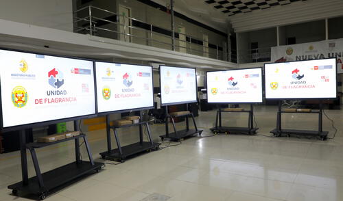 Esta iniciativa busca optimizar el trabajo judicial en la lucha contra delitos flagrantes.