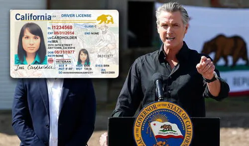 Gavin Newsom firmó la Ley SB 1100, que eliminará la exigencia de licencia de conducir de California para ciertos empleos. Gavin Newsom firmó la Ley SB 1100, que eliminará la exigencia de licencia de conducir de California para ciertos empleos.