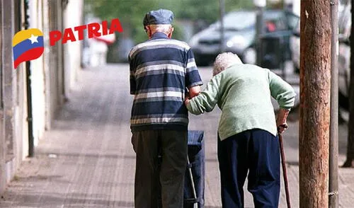 Los pensionados de Amor Mayor no reciben la pensión IVSS. Foto: composiciónLR/Michelle Rivera/Patria El doble pago de mayo 2025 para pensionados de Amor Mayor: montos oficiales de los bonos para los abuelos de la Patria