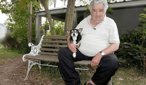 La historia de José Mujica y Manuela, su perrita de tres patas que vivió más de 20 años: quería que la entierren con ella