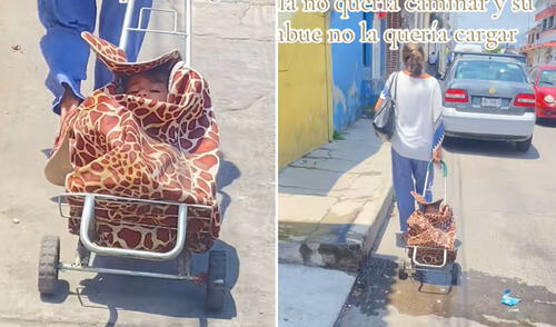 Adulta mayor sorprende al colocar a su nieta en carrito de mercado: “Abuelita que resuelve”