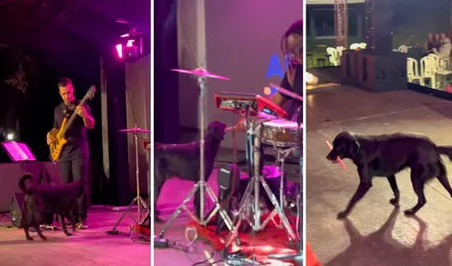 Video tiene más de 2 millones de reproducciones. Video tiene más de 2 millones de reproducciones. Foto: captura de TikTok/@nandinho1394