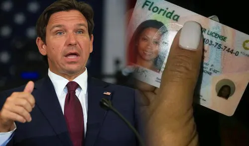 Ron DeSantis implementa nueva ley migratoria que prohíbe a inmigrantes indocumentados obtener licencias de conducir en Florida. Ron DeSantis implementa nueva ley migratoria que prohíbe a inmigrantes indocumentados obtener licencias de conducir en Florida.