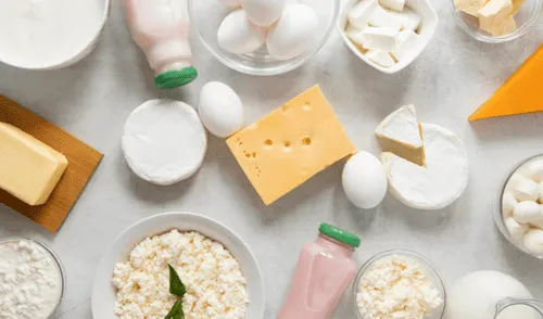 Los probióticos son esenciales para fortalecer el sistema inmunológico y mejorar la digestión. Foto: FreePik Los probióticos son esenciales para fortalecer el sistema inmunológico y mejorar la digestión. Foto: FreePik