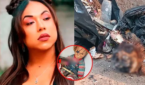 Dayanita quemó un cráneo humano