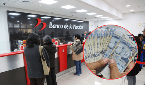 Para solicitar, envía un mensaje de WhatsApp al 966 216 942 con tu DNI.