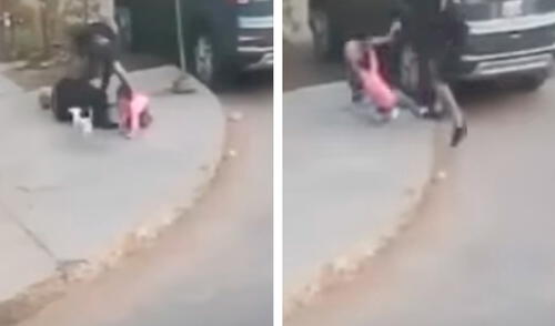 Las cámaras de seguridad captaron el violento asalto de los criminales contra una madre de familia y su menor hija. Foto: Composición LR/Latina