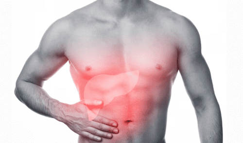 La enfermedad oncológica del hígado se encuentra entre las más diagnosticadas. Foto: FreePik La enfermedad oncológica del hígado se encuentra entre las más diagnosticadas. Foto: FreePik