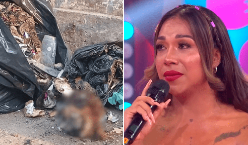 Dayanita ha vivido momentos muy tensos en las últimas semanas. Foto: Composición LR/América TV/Instagram. Dayanita ha vivido momentos muy tensos en las últimas semanas.