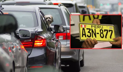 La AAP informó que la RM N.º 256-2025-MTC01.02 establece un cronograma de replaqueo para los vehículos.