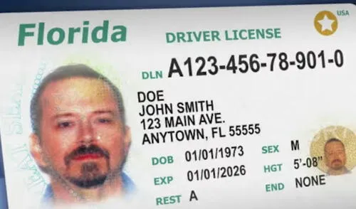 Para renovar la licencia de conducir en Florida, el FLHSMV requiere documentos específicos como identificación oficial, permiso de trabajo y prueba de residencia.
