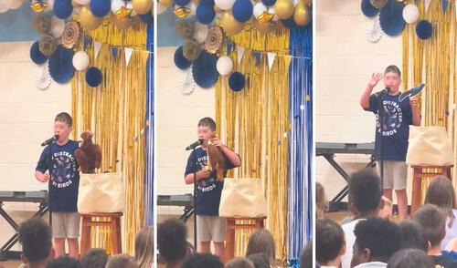 Video superó el millón de vistas en la plataforma. Foto: captura de TikTok/@ceciarmy