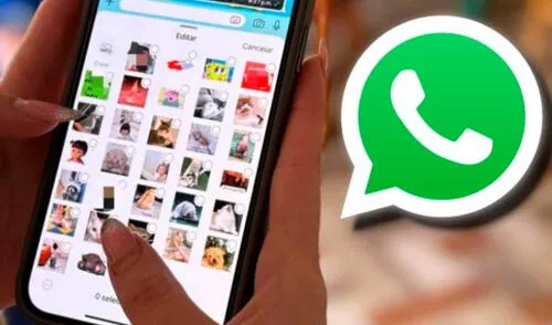 Función de WhatsApp está disponible en Android y iPhone. Foto: El nueve