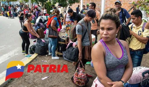 La mayoría de bonos de la patria se pagan por la plataforma del mismo nombre. Foto: composiciónLR/CNN/Patria Estos bonos se pagarán antes del 31 de mayo por el Sistema Patria: consulta con cédula el depósito y beneficiarios