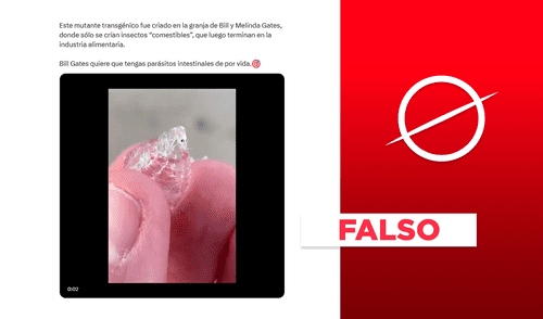 Mutante transgénico de Bill Gates