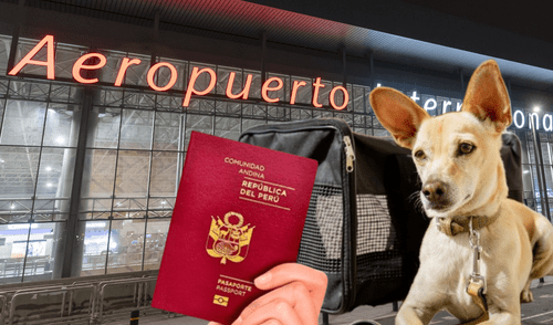 Conoce los requisitos para viajar con tu mascota en el nuevo aeropuerto. Foto: composición La República
