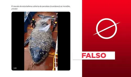 La secuencia fue hecha con IA