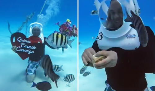 Clip acumula millones de vistas en la plataforma de TikTok. Foto: composición LR/ TikTok Hombre pidió matrimonio bajo el mar y romántico gesto es viral: “Cuando hay amor, hay imaginación infinita"