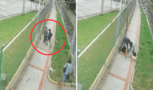 Joven es golpeado en plena vía pública por pareja de delincuentes. Foto: composición LR