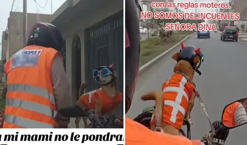 Motociclista peruana también le colocó chaleco a su perrito y es furor en redes: “Todo en regla”