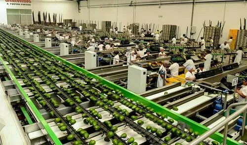 Sigrid Bazán alertó que en último cambio, la propuesta de beneficios tributarios está sin plazo. Sigrid Bazán alertó que en último cambio, la propuesta de beneficios tributarios está sin plazo.