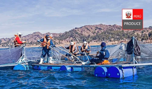 Cambios señalados en el Decreto Supremo N° 009-2025-Produce entran en vigencia desde el sábado 24 de mayo de 2025. Cambios señalados en el Decreto Supremo N° 009-2025-Produce entran en vigencia desde el sábado 24 de mayo de 2025.