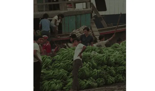 Archivos Fílmicos Amazónicos. Imagen: Difusión. Archivos Fílmicos Amazónicos. Imagen: Difusión.