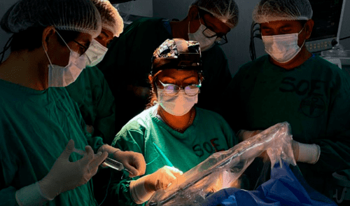 Los médicos lograron mantener con vida a la mujer de 39 años. Foto: Minsa Los médicos lograron mantener con vida a la mujer de 39 años. Foto: Minsa