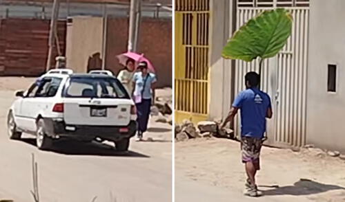 Peruano se cubre del sol con hoja 'gigante' y es furor en redes: “No me va a vencer la pobreza”