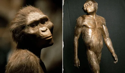 El hallazgo de "Lucy" en 1974 marcó un antes y un después en el estudio de la evolución humana. Foto: composición LR/National Geographic El hallazgo de "Lucy" en 1974 marcó un antes y un después en el estudio de la evolución humana. Foto: composición LR/National Geographic