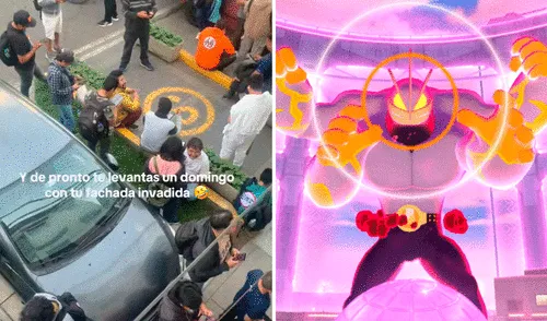 Video se ha viralizado en la plataforma. Foto: captura de TikTok/@claudiavargasvera/internet