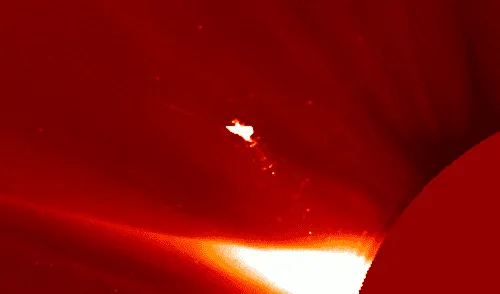 Astrónomos rusos captaron un objeto con forma de "pájaro" a 2 millones de kilómetros del Sol.