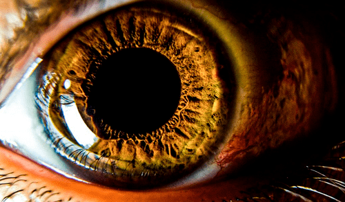 Estudio científico plantea el uso de nanopartículas de oro para restaurar la vista mediante "una nueva prótesis de retina"