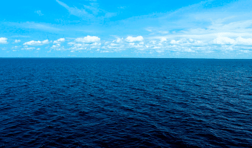 Científicos han calculado que solo se ha observado directamente menos del 1% de las profundidades oceánicas. Foto: IStock Científicos han calculado que solo se ha observado directamente menos del 1% de las profundidades oceánicas.