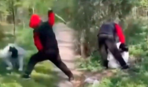 Un parque de Nueva York presenció un ataque despiadado de adolescentes a dos chicas menores de edad.