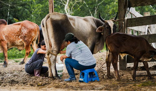 WWF Perú promueve la resiliencia en comunidades mediante iniciativas como la ganadería y mecanismos de retribución.