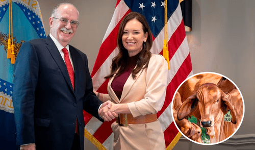 México y EEUU acuerdan medidas contra el gusano barrenador y reabrir la frontera. México y EEUU acuerdan medidas contra el gusano barrenador y reabrir la frontera.