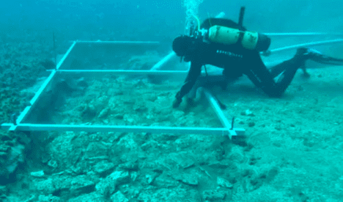 La estructura fue construida por la antigua cultura Hvar en la isla de Korčula. Foto: Universidad de Zadar Croacia, arqueología, carretera